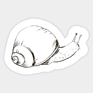 Escargot Snail Slug Lineart Sticker